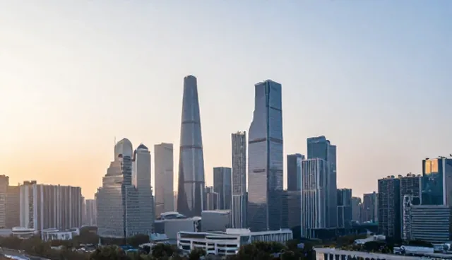 应用开发技术支持中的适用条件与处理方向